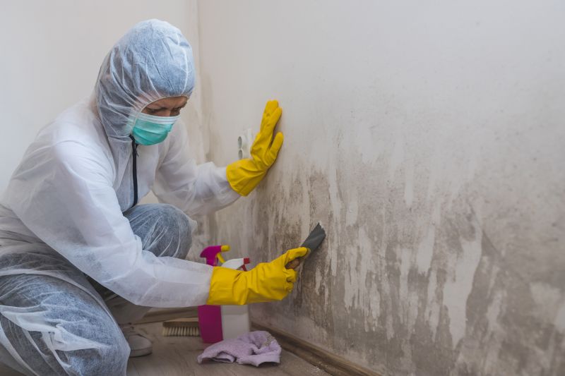 Commercial Mold Remediation