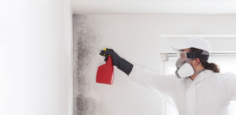 Common Causes Of Mold Growth In Homes