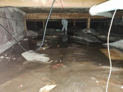 Crawl Space Mold Remediation