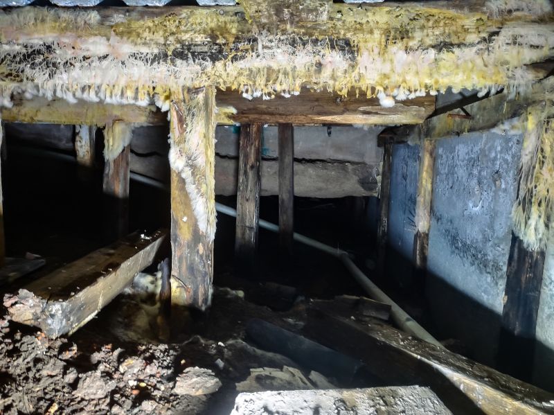 Crawl Space Mold Remediation