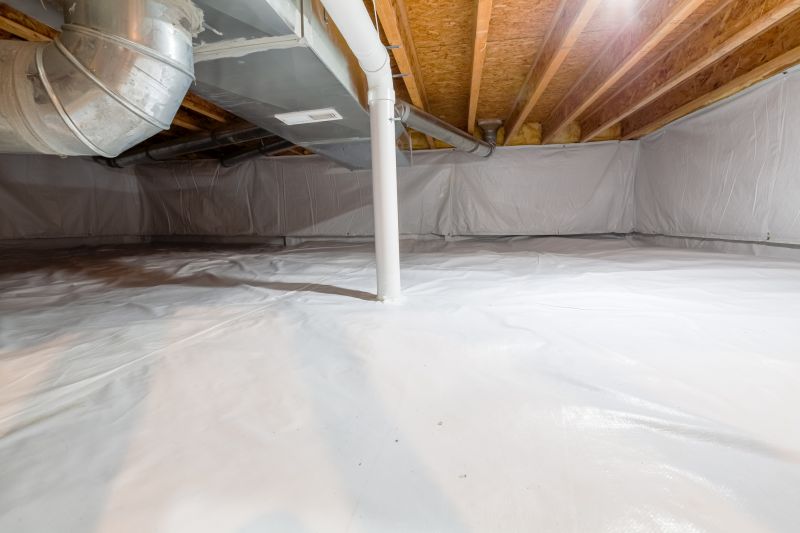 Crawl Space Mold Remediation