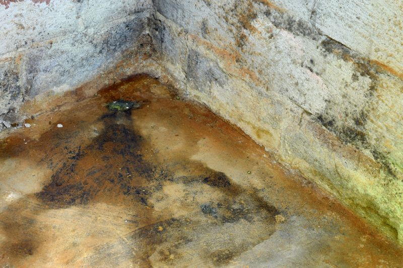 Crawl Space Mold Remediation