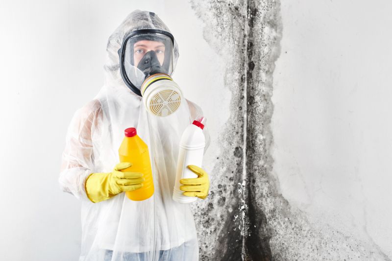 Emergency Mold Removal