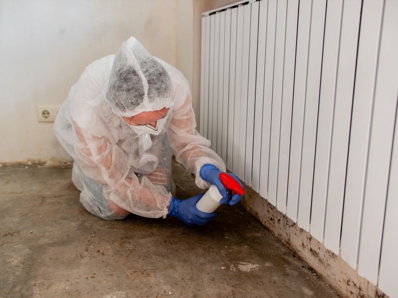 How Professional Mold Cleanup Helps Protect Your Property