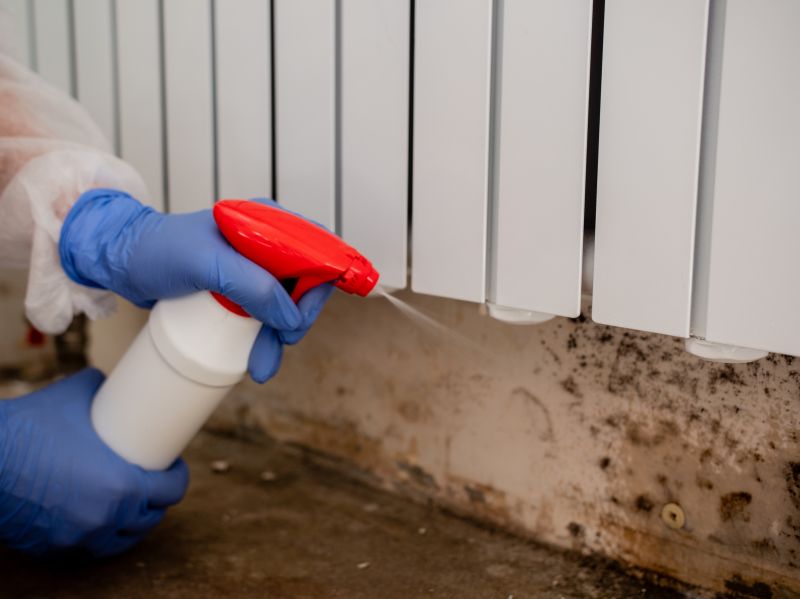 Hvac Mold Remediation
