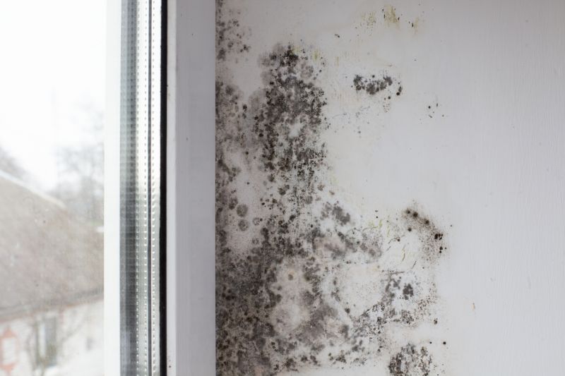 Mold Damage Restoration