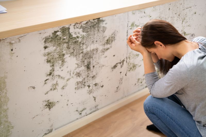 Mold Damage Restoration