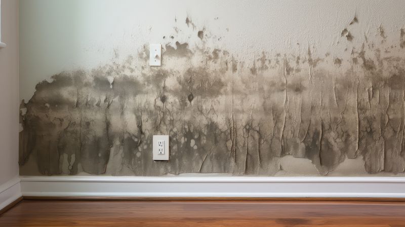 Mold Damage Restoration