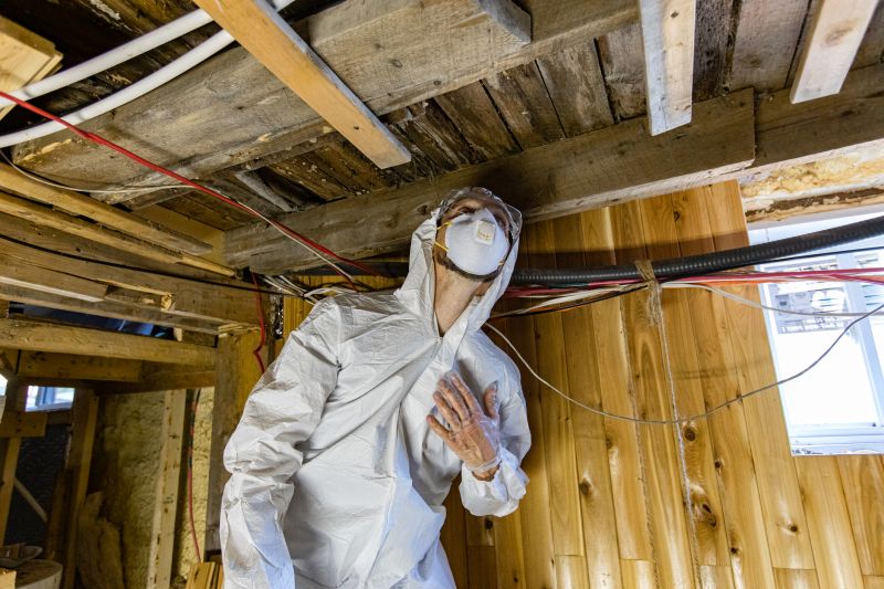 Mold Inspection After Flood Or Leak Damage