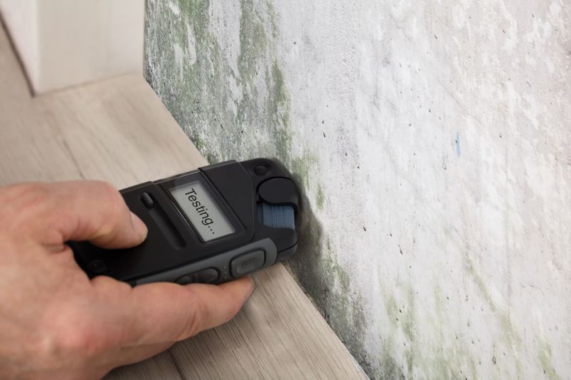 Mold Inspection Vs Mold Testing: What’s The Difference