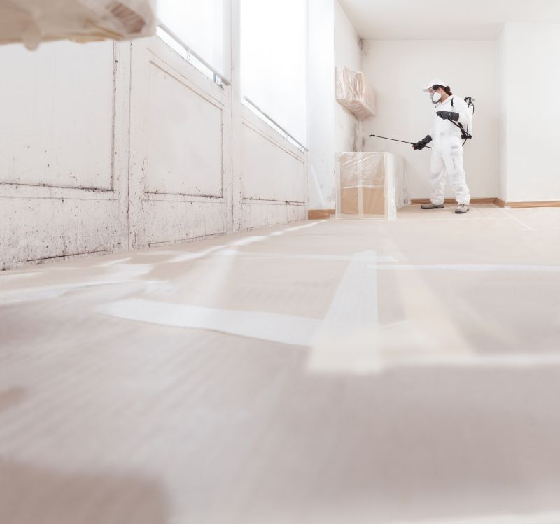 Mold Remediation For Basements And Crawl Spaces