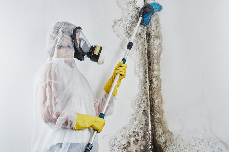 Mold Remediation For Basements And Crawl Spaces