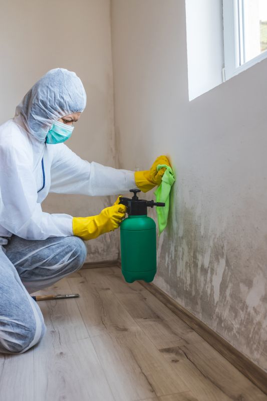 Mold Remediation For Commercial Properties