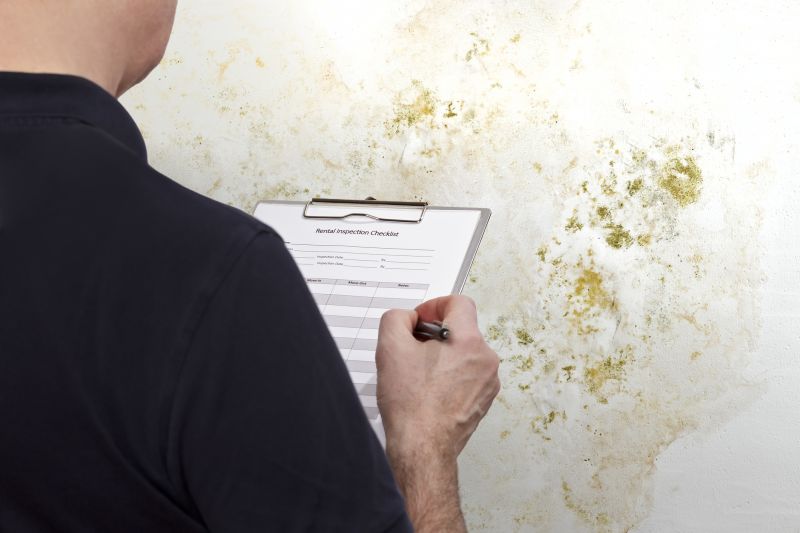 Signs You Need Professional Mold Inspection