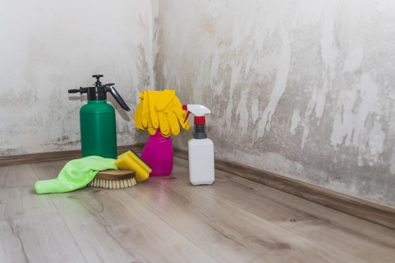 Steps Involved In The Mold Remediation Process