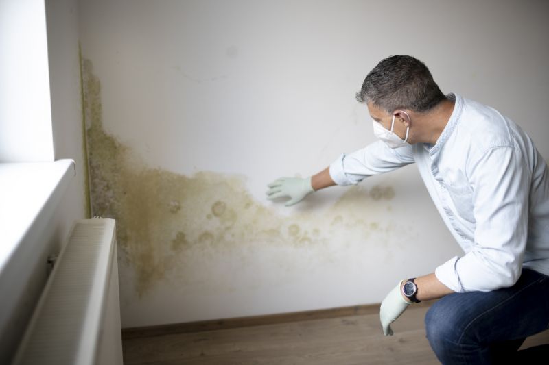 What Happens During A Mold Inspection